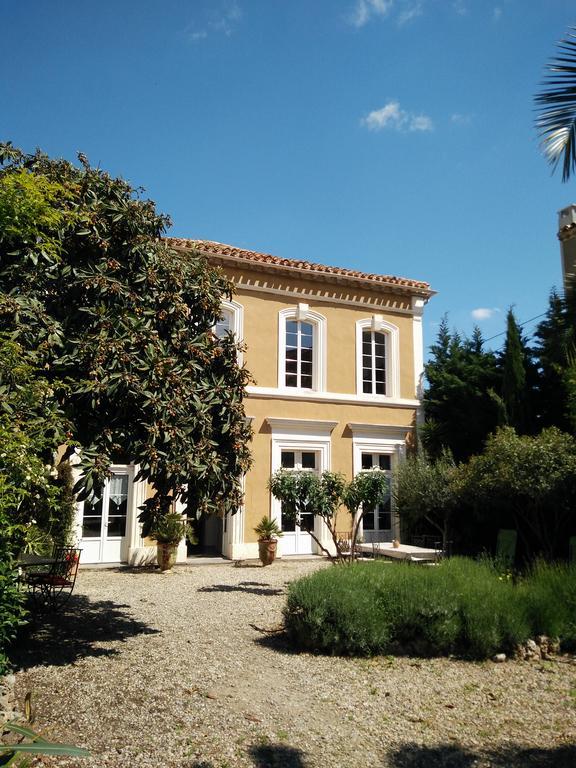 Frühstückspension La Maison Des Palmiers Homps (Aude)